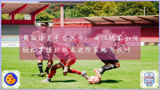 熊猫体育平台入口：回归玩家如何轻松掌握新版本进阶策略与技巧