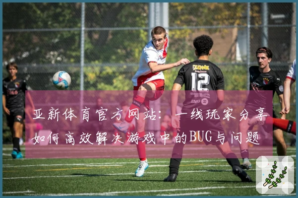 亚新体育官方网站：一线玩家分享如何高效解决游戏中的BUG与问题