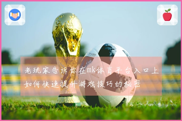 老玩家告诉你在mk体育平台入口上如何快速提升游戏技巧的秘密