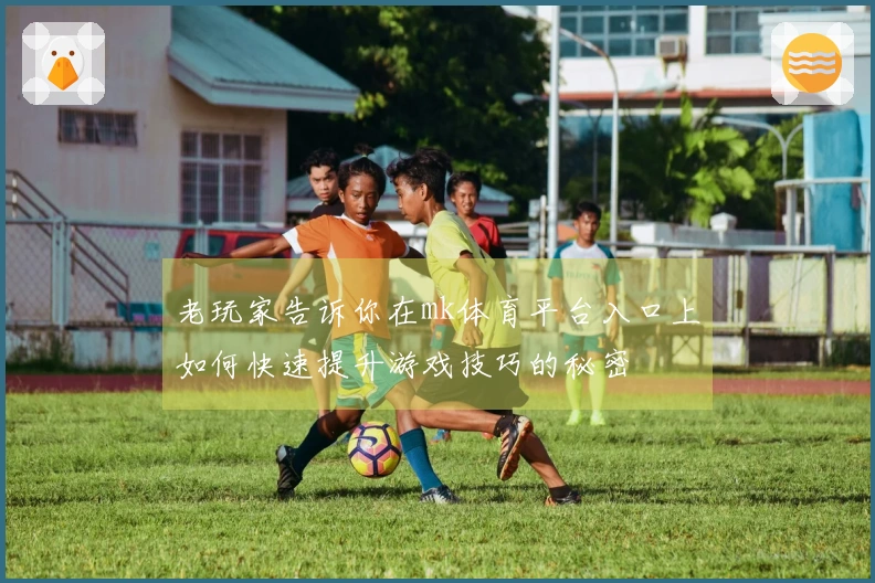老玩家告诉你在mk体育平台入口上如何快速提升游戏技巧的秘密
